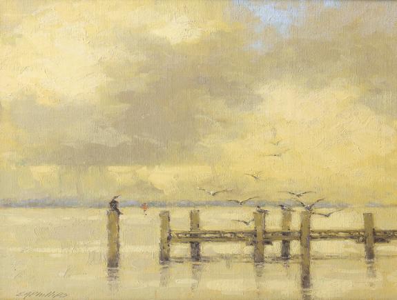 Distant Storm
